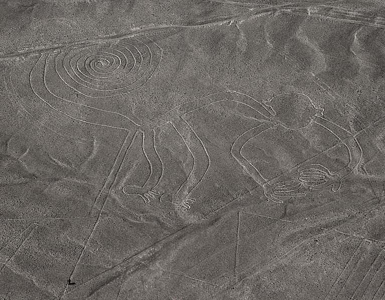 Tracées par la civilisation Nazca, une culture pré-inca qui perdura entre 800 et 300 avant notre ère, les figures peuvent être de simples lignes ou de véritables dessins de plusieurs dizaines, voire centaines de mètres. Ici, le singe, l'un des motifs les plus connus, fait 55 mètres de long. © Markus Leupold Lowenthal, Wikimedia
