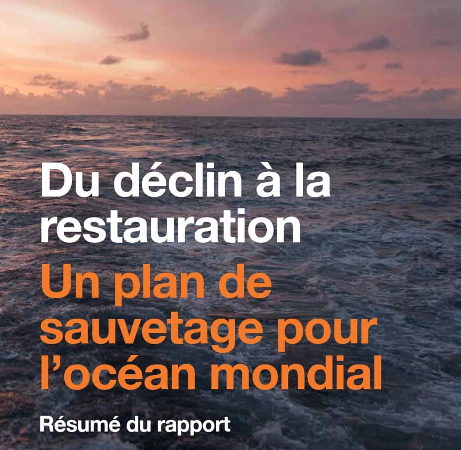 Le rapport qui donne des pistes pour le « sauvetage » de l'océan mondial. © Commission Océan global