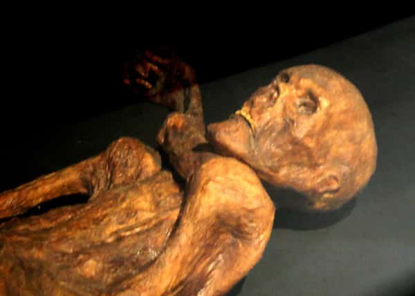 La momie d'Ötzi, aussi appelé l'Homme des glaces tyrolien, est conservée dans une chambre réfrigérée spéciale (température de -6 °C et taux d'humidité de 98 %) au musée de Bozen-Bolzano, en Italie. © 120, Wikimedia Commons, cc by sa 3.0