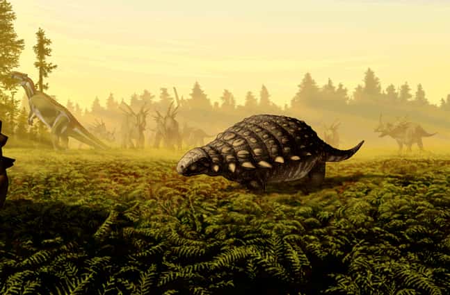 Un <em>Panoplosaurus mirus</em> dans son environnement du Crétacé. © J.T. Csotonyi, <em>Wikimedia Commons</em>, cc by sa 2.5