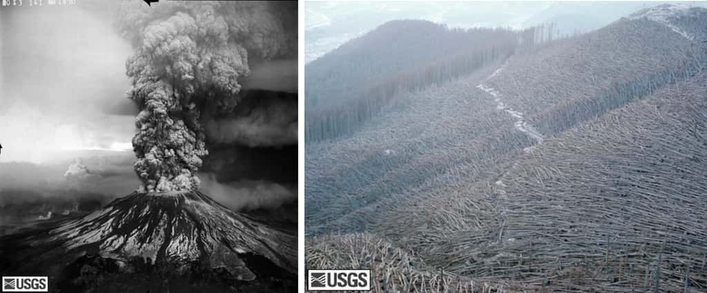 A gauche, le versant sud du Mont St Helens durant la phase paroxysmale, après l'éruption du 18 mai 1980. A droite, la forêt de North Fork Toutle, dévastée, le 22 août 1980. Crédit USGS/<em>Cascades Volcano Observatory</em>