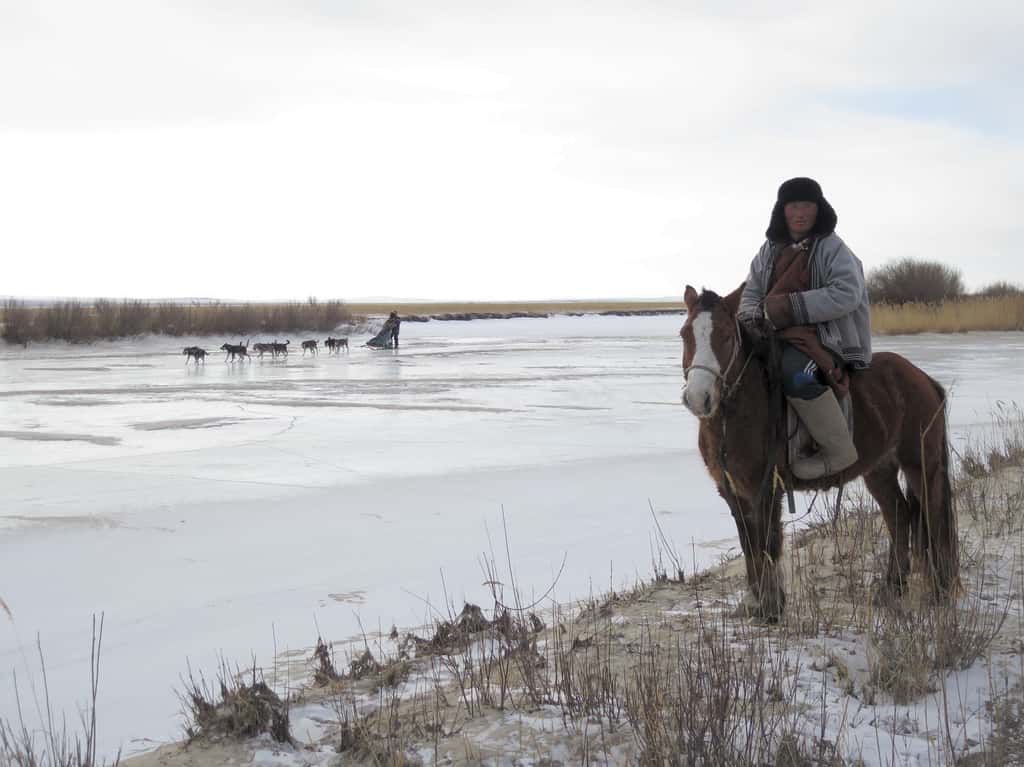 Les rivières gelées tracent la route pour le traîneau, mais la steppe est faiblement recouverte par la neige. © Taïga