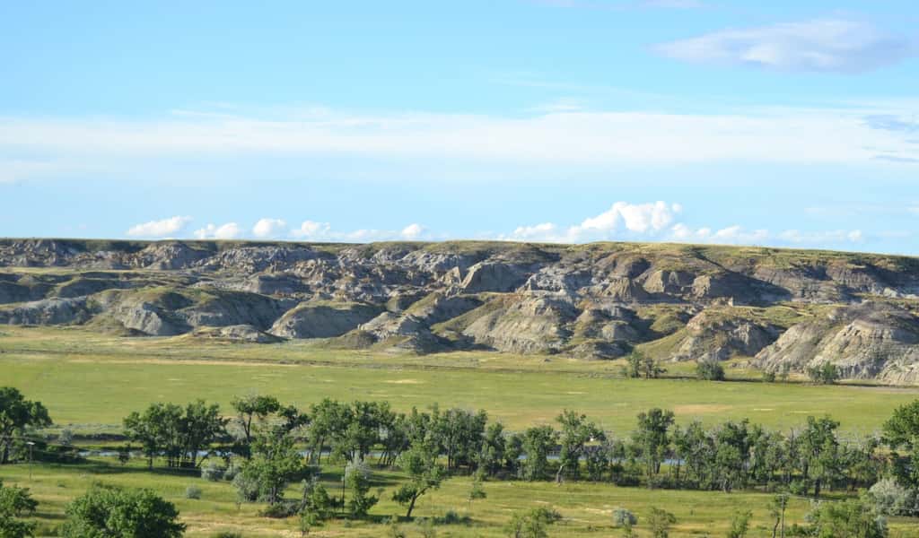 Une vue des fameuses Badlands, le paradis des chasseurs de dinosaures en Amérique du Nord. L'image est celle de la formation de Judith River, une formation géologique du Montana. © <em>Royal Ontario Museum</em>