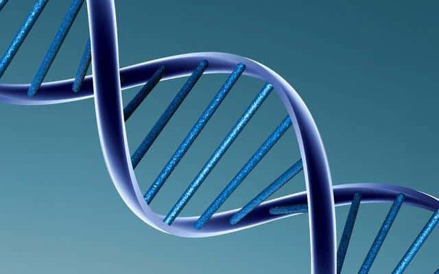 La double hélice de l'ADN renferme bien des mystères. © Caroline Davis, Flickr, CC 