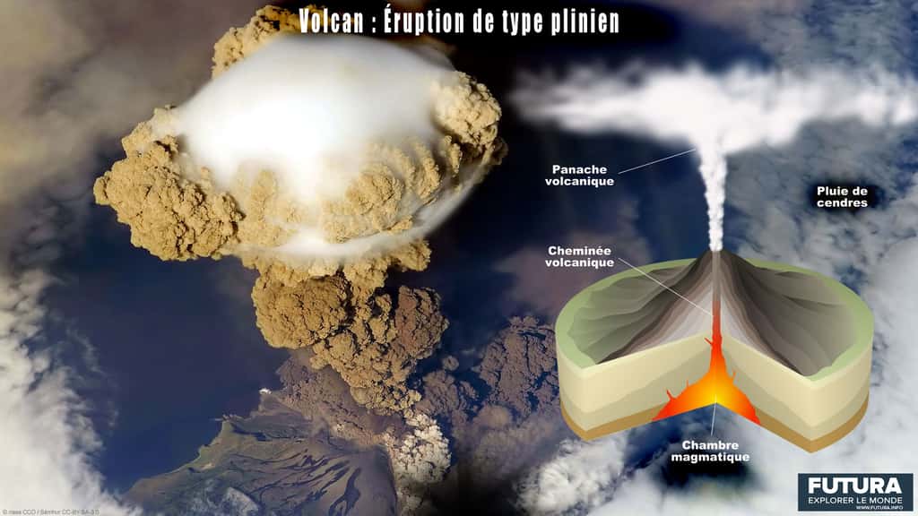 Schéma illustrant une éruption plinienne. © Sémhur, Nasa, CC by-sa 3.0