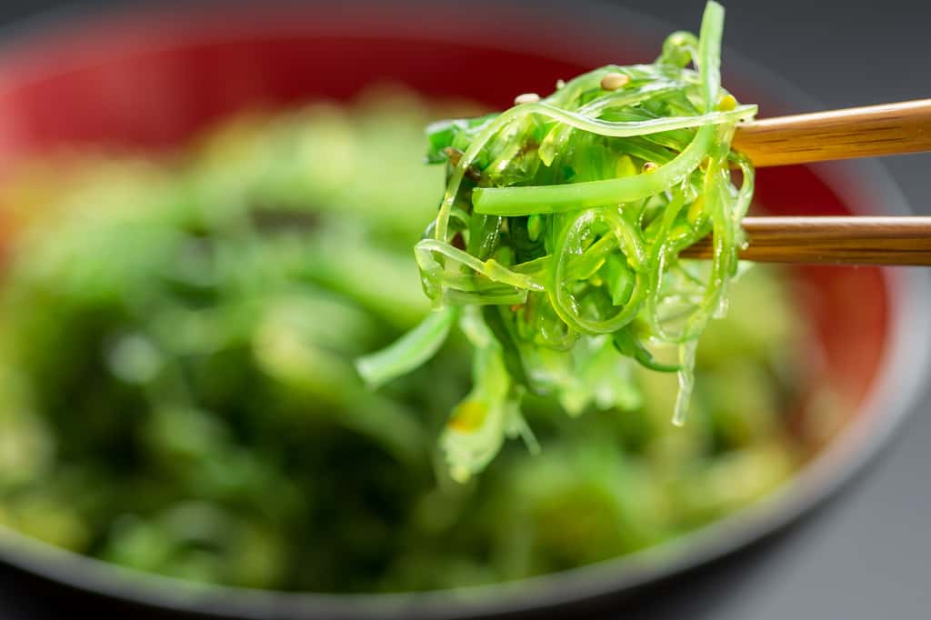 166 millions de personnes pourraient éviter les carences en micronutriments grâce à une alimentation plus riche en produits de la mer. © TR Design, Adobe Stock
