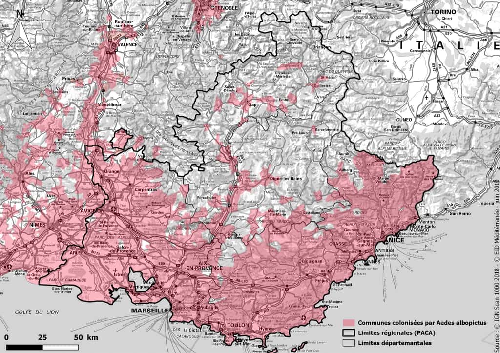 Carte de la colonisation par <em>Aedes albopictus</em> en Provence-Alpes-Côte d’Azur. Mais d’autres maladies liées aux moustiques apparaissent aujourd'hui. Ainsi, le virus du Nil (<em>West-Nile</em>) qui est transmis par cet autre type de moustique, le <em>Culex pipiens. </em>© Le Grec, EID Méditerranée, 2019