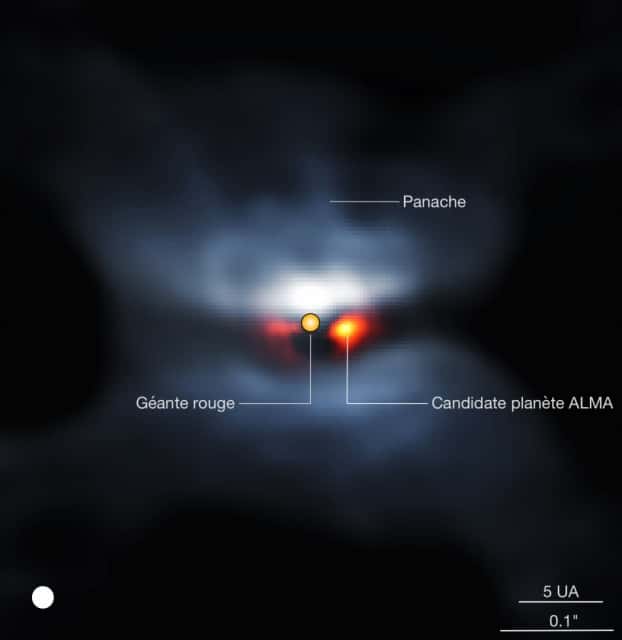 Image composite de L2 Pup en lumière visible (par l'instrument VLT/Sphere, couleurs bleutées) et image Alma dans le continuum (teintes orangées). L'étoile centrale a été soustraite de l'image Alma pour mieux montrer le compagnon. La taille apparente de l'étoile centrale est représentée à l'échelle. Le disque blanc dans le coin inférieur gauche représente la résolution de l'image. © P. Kervella <em>et al.</em> (CNRS, <em>U. de Chile</em>, Observatoire de Paris, Lesia, ESO, Alma