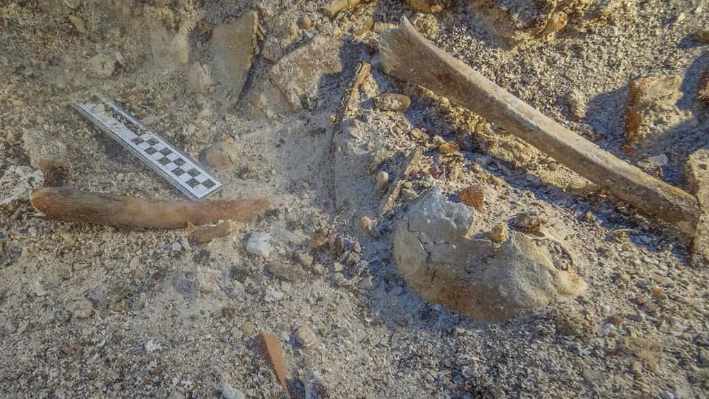 Les os humains retrouvés sur le site de l'épave sont bien visibles sur cette image. © Brett Seymour, EUA, WHOI, Argo