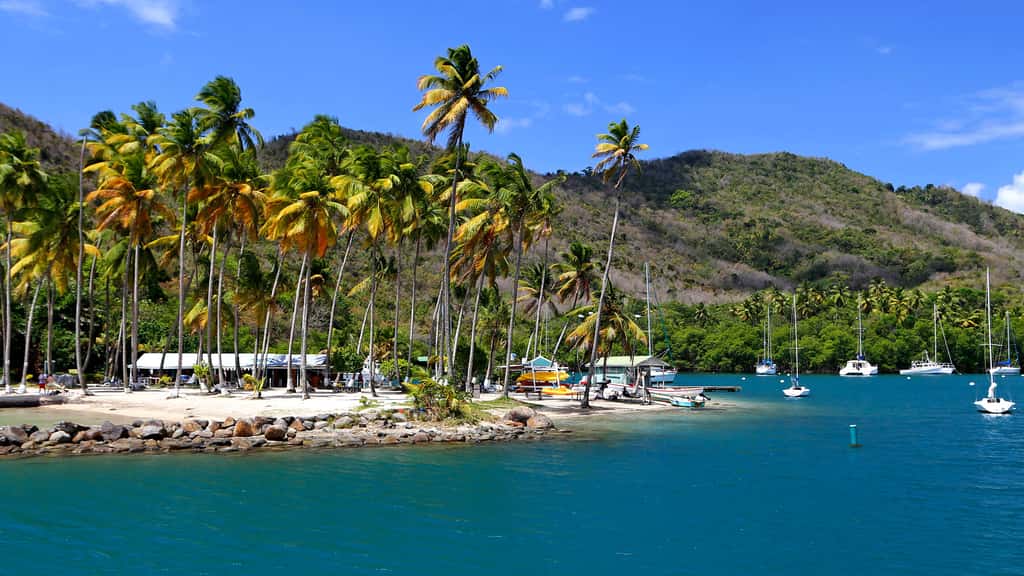 Marigot Bay, sur l'île de Sainte-Lucie, tout près de la Martinique. © Antoine, tous droits réservés, reproduction interdite