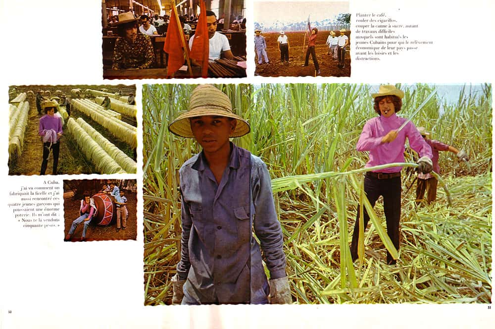 Dans les champs de canne à sucre. © Antoine, DR