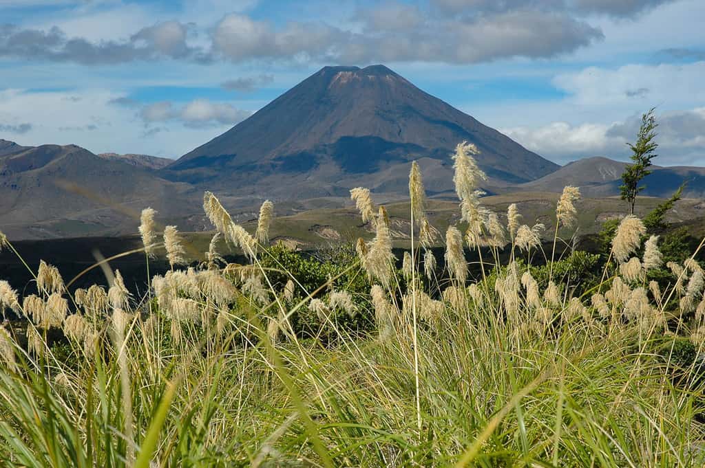 Le volcan Ngaruhoe,  qui tint lieu du « Mont Doom » lors du tournage du <em>Seigneur des Anneaux</em>. © Antoine, tous droits réservés
