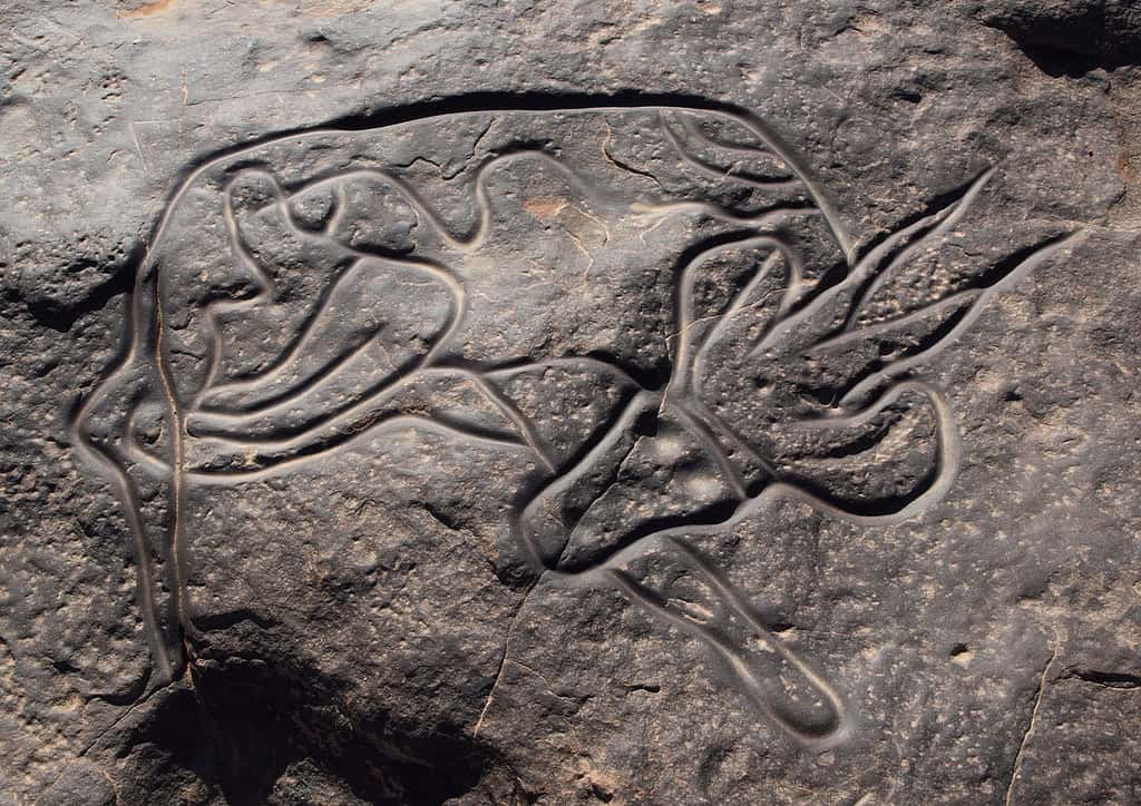 Gravure rupestre appelée <em>Gazelle couchée,</em> à Tin Taghirt, sur le Tassili n’Ajjer, en Algérie. © Linus Wolf, Wikipédia, GNU