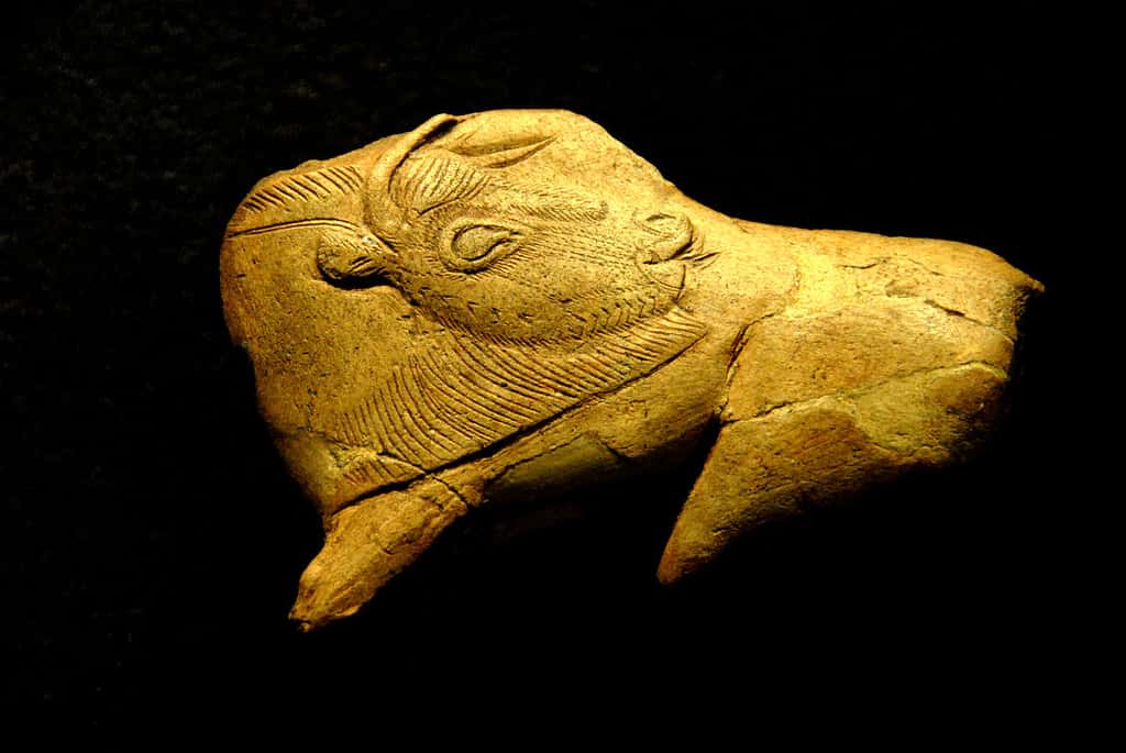 Représentation de bison avec la tête se retournant sur le corps pour se lécher le flanc. Cet objet en bois de renne est peut-être un fragment de propulseur (instrument de chasse muni d’un crochet permettant d’allonger le bras pour projeter les javelots). Il a été trouvé dans l'abri de la Madeleine, en Dordogne. Il date de 13.000 av. J.-C. © Jochen Jahnke, Wikipédia, GFDL