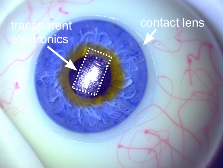 Durant leurs tests, les chercheurs de l’EPFZ ont déposé leur circuit électronique ultraflexible et transparent (<em>transparent electronics</em>) sur une lentille de contact (<em>contact lens</em>) placée sur un œil artificiel. Pour Giovanni Salvatore, les applications les plus prometteuses se situent dans le domaine biomédical. © Salvatore <em>et al.</em>, EPFZ