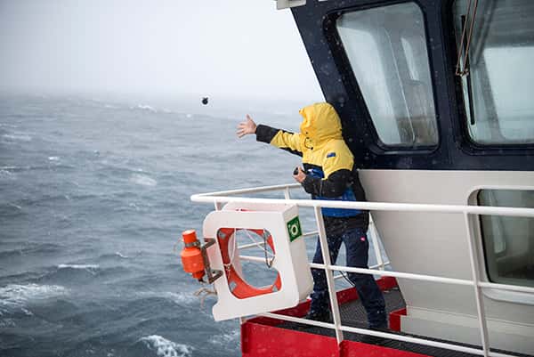 Les scientifiques ont largué des sondes permettant de mesurer la température de l’océan jusqu’à 800 mètres de profondeur depuis l’Astrolabe. © Sébastien Chastenet, OMP, IPEV