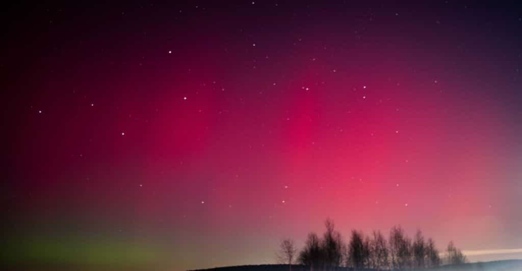 Les aurores boréales de couleur rouge ont été nombreuses dans la soirée du 1er janvier 2025. © Nikita, Adobe Stock