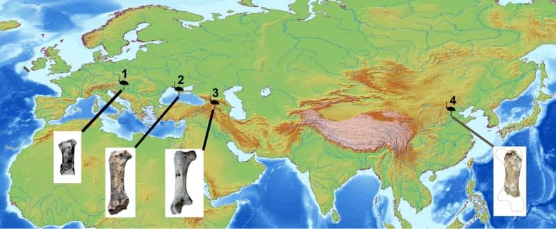 Distribution géographique de l'autruche géante Pachystruthio dans le Quaternaire ancien d'Eurasie. 1 : Hongrie (phalange), 2 : Crimée (fémur), 3 : Géorgie (fémur), 4 : Chine (fémur). © Eric Buffetaut et Delphine Angst