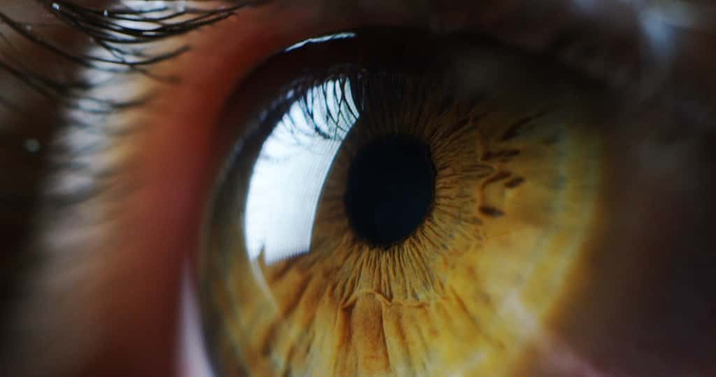 Un patient aveugle soigné par la thérapie optogénétique. © HQUALITY, Adobe Stock