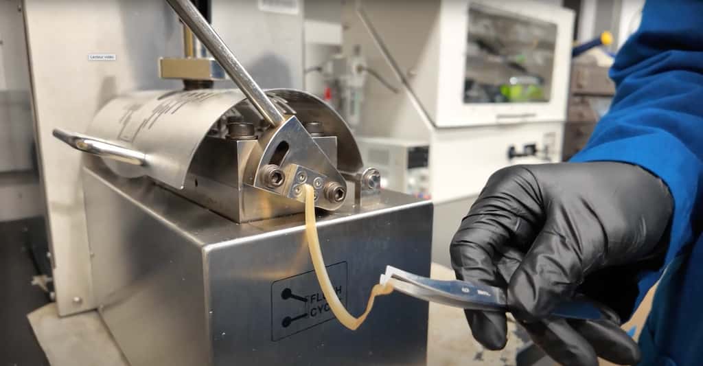 L’équipe de l’université de Californie a produit des bandes de polyuréthane thermoplastique vivant dont elle a ensuite testé la biodégradation. © Jon Pokorski, <em>UC San Diego Jacobs School of Engineering</em>