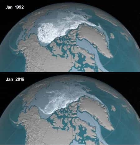 Dans les années 1980, 20 % de la glace qui constituait la banquise arctique avait plus d’un an, contre seulement 3 % aujourd'hui. Sur ces photos, plus la glace est ancienne, plus elle apparaît blanche. © <em>Nasa's Goddard Space flight Center</em>/Jefferson Beck