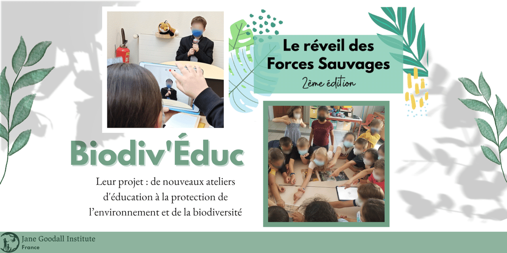 L’association Biodiv’Educ veut étendre son travail de sensibilisation auprès du jeune public. © <em>Jane Goodall Institute France</em>