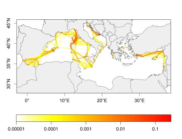 Cette carte du bassin méditerranéen montre la connectivité entre aires marines protégées. Les couleurs représentent la probabilité de connexion. © Marco Andrello
