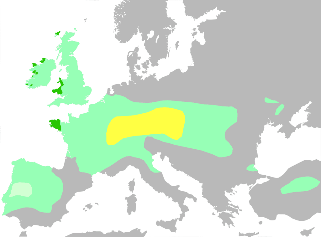 Carte de l’expansion celte en Europe. En jaune, le noyau territorial Hallstatt, au VI siècle av. J.-C. ; en vert clair, l’expansion celtique maximale, en 275 av. J.-C. ; en blanc, le domaine lusitanien de l’Ibérie, où la présence celtique est incertaine ; en vert fluo, les zones où les langues celtiques restent largement parlées aujourd’hui. © Rob984, Wikimedia Commons, CC by-sa 4,0