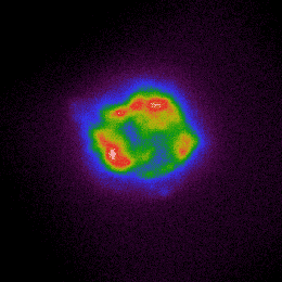 Cette image de IXPE cartographie l’intensité des rayons X provenant de sa toute première cible, le rémanent de la supernova Cassiopée A. Les couleurs allant du violet et bleu, au rouge et au blanc correspondent à l’augmentation de la luminosité des rayons X. © Nasa