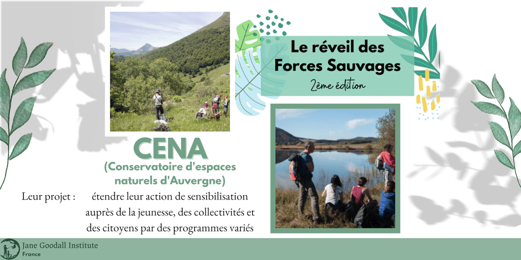 Le Conservatoire d’espaces naturels d’Auvergne œuvre pour les pollinisateurs sauvages. © <em>Jane Goodall Institute France</em>