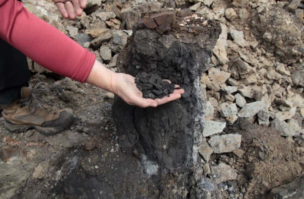 Un bloc de charbon dans les basaltes de Sibérie. © Scott Simper, Université de l’État de l’Arizona
