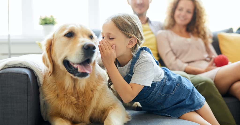 Des chercheurs de l’université du Sussex (Royaume-Uni) montrent aujourd’hui que les chiens sont capables de reconnaître des phonèmes sans les avoir appris au préalable. Une capacité que l’on pensait réservée aux humains. © pressmaster, Adobe Stock