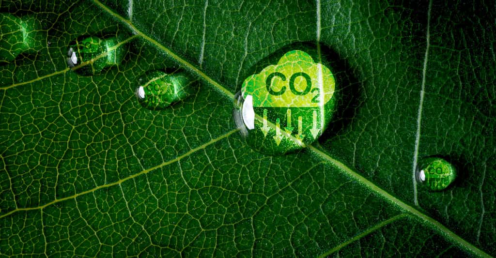 Capter le CO2 à la sortie des usines, ou même directement dans l’air, et le transformer, grâce à des déchets plastiques et en s’inspirant de la photosynthèse, en produits utiles. C’est ce sur quoi travaillent des chercheurs de l’université de Cambridge (Royaume-Uni). © Dilok, Adobe Stock