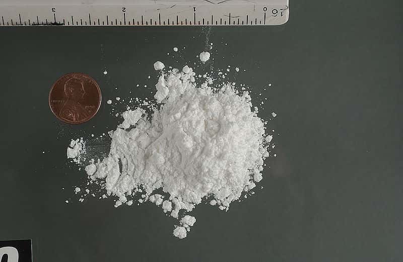 La cocaïne, issue de la coca, se consomme le plus souvent sous forme de poudre. Elle est connue pour ses effets psychotropes et addictifs et est illégale dans de nombreux pays. © <em>Drug Enforcement Agency</em>, Wikipédia, DP