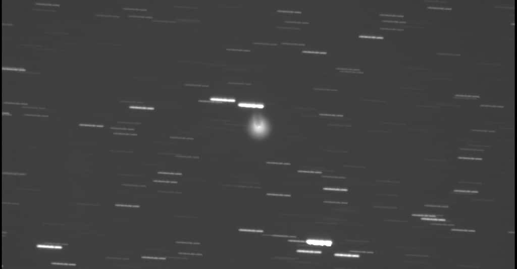 Cette image de la comète P12/Pons-Brooks et de ses cornes a été prise après la première éruption observée en juillet 2023. Une seconde éruption survenue début octobre lui redonne aujourd’hui le même aspect. © Gianluca Masi, The Virtual Telescope Project
