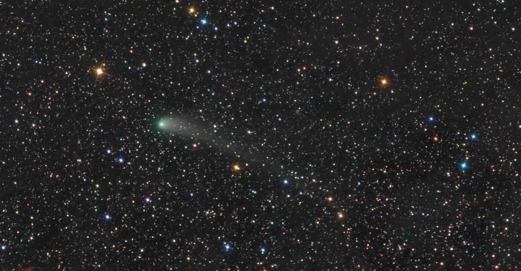 La comète C/2021 S3 (Pannstars) telle qu’immortalisée fin janvier 2024 par l’astrophotographe Damian Peach. © Damian Peach, @peachastro, X