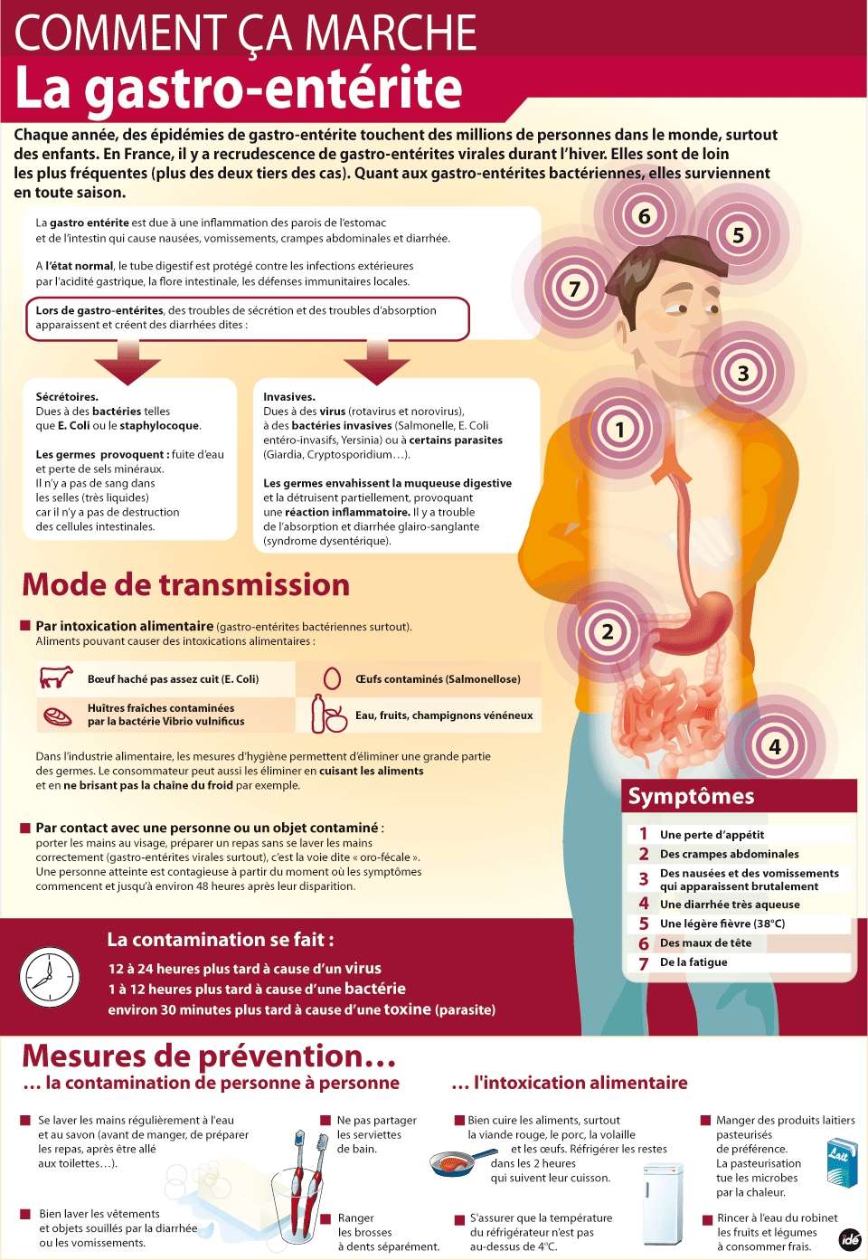 Cette infographie explicative reprend les causes et les moyens de prévention de la gastroentérite. © Idé