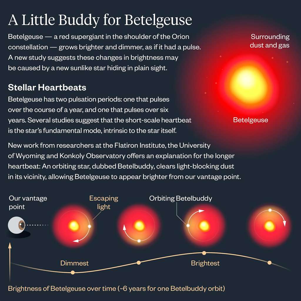 Une équipe internationale de chercheurs explique les variations de luminosité de Bételgeuse par la présence autour d’elle, d’une compagne cachée, un « Betelbuddy ». © Lucy Reading-Ikkanda, <em>Simons Foundation</em>