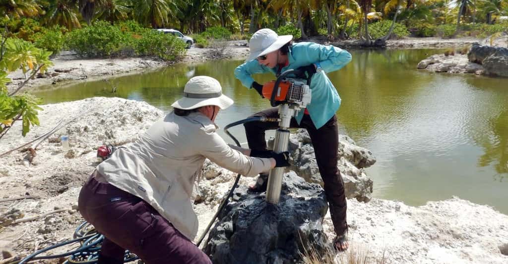 Les chercheurs de Georgia Tech (États-Unis) en train de percer un fossile de corail vieux de 5.000 ans sur l’île de Kiritimati (Pacifique Nord). © Georgia Tech