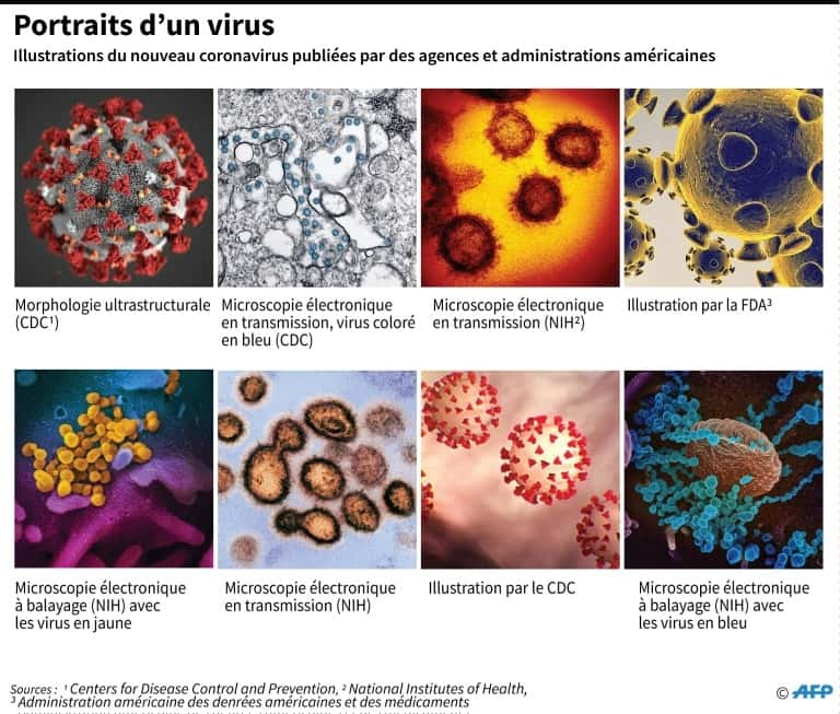 Portrait du virus, SARS-Cov-2. © John Saeki, AFP, Archives 
