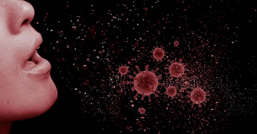 Selon le type de contact entre les membres d'un foyer, le taux d'infection secondaire du coronavirus varie. © mohamed_hassan, Pixabay, Pixabay License
