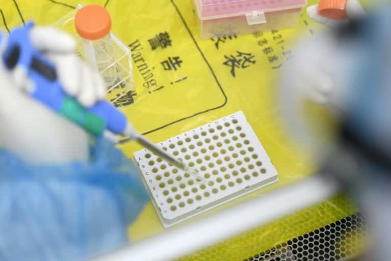 Des techniciens de laboratoire travaillent sur des échantillons prélevés sur des personnes à tester pour le nouveau coronavirus, le 6 février 2020 à Wuhan. © STR, AFP 