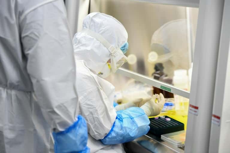 Ce vaccin expérimental protège efficace les singes contre le nouveau coronavirus ou diminue fortement sa charge virale, d'après le laboratoire chinois. © STR, AFP