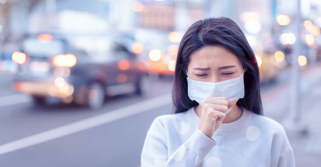 Il est impossible de se protéger individuellement de la pollution de l'air. © Tom Wang, Adobe Stock