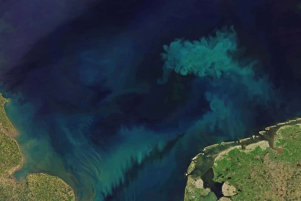 Des chercheurs du <em>Massachusetts Institue of Technology</em> (MIT, États-Unis) ont suivi les changements de couleur de l’océan depuis plus de vingt ans en analysant les mesures prises par le spectroradiomètre imageur à résolution moyenne (Modis) à bord du satellite Aqua. © Nasa et Joshua Stevens, données Landsat de l’<em>U.S. Geological Survey</em> et Modis de LANCE/EOSDIS Rapid Response