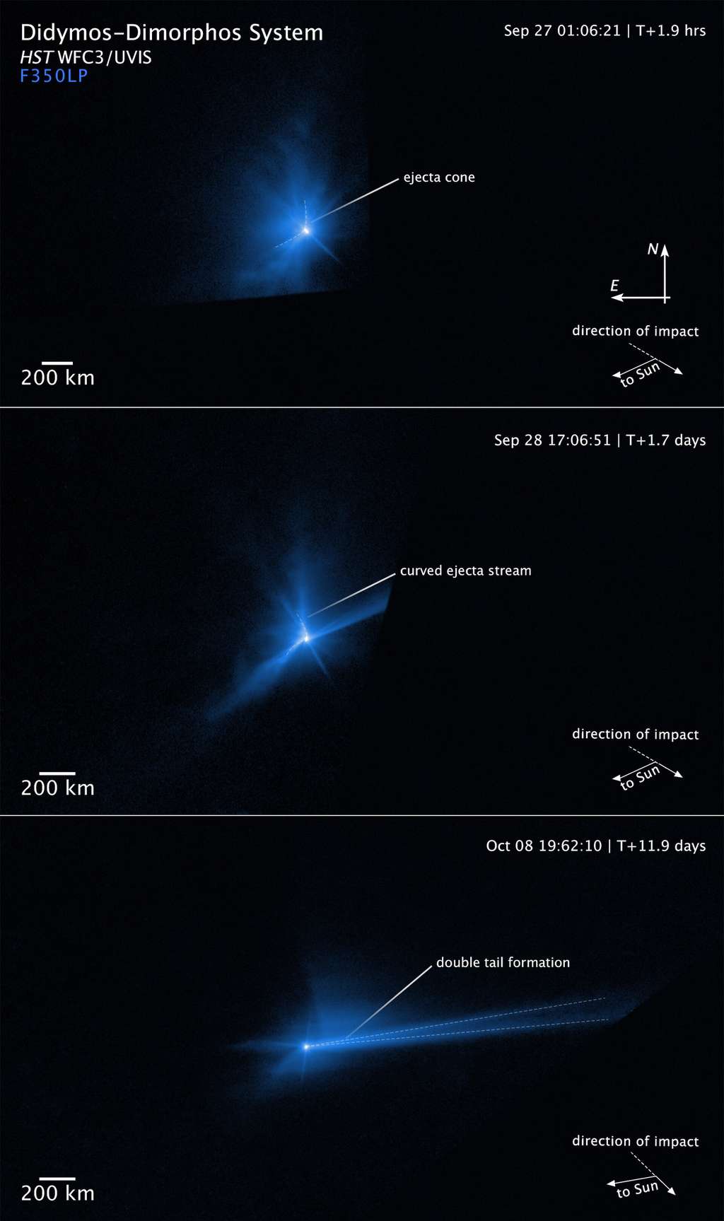 Les trois phases de l’éjection de matière qui a suivi l’impact de Dart sur l’astéroïde Dimorphos, le 26 septembre 2022. En haut, deux heures après l’impact : le cône d’environ 1 000 tonnes éjecta. Au milieu, environ dix-sept heures après l’impact, le cône commence à se déformer sous l’effet de l’interaction dynamique au sein du système binaire d’astéroïdes. En bas, les débris forment une queue qui se fend en deux pendant quelques jours. © Nasa, ESA, STScI et Jian-Yang Li (PSI) ; Traitement d’image : Joseph DePasquale (STScI)
