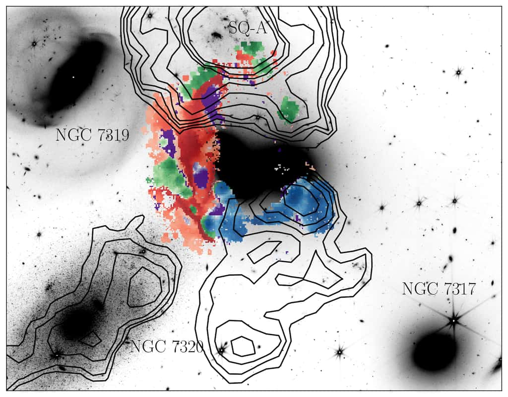 Voici comment Weave voit le gaz dans le Quintette de Stephan — l’image est superposée sur une image du télescope spatial James-Webb. Le rouge met en évidence le gaz choqué par la collision, tandis que le vert et le bleu montrent les régions de formation d’étoiles. Les zones violettes représentent des bulles d’origine inconnue. Les contours noirs montrent l’hydrogène neutre, et sa position par rapport au gaz choqué suggère que c’est de là qu’il vient. © Université de Hertfordshire