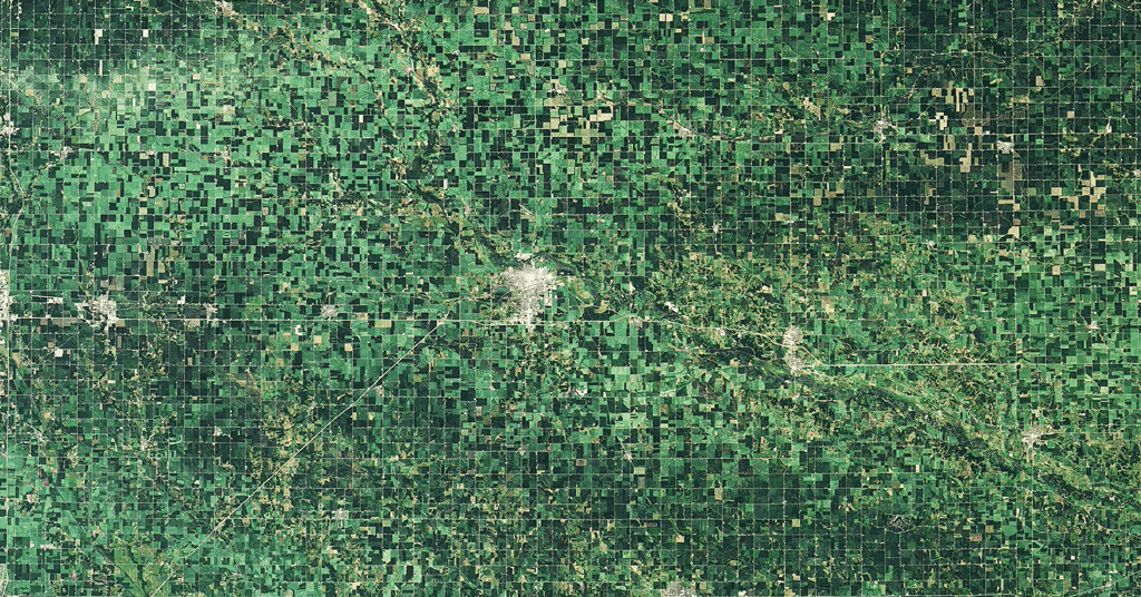 Dans l’Iowa, le passage d’un derecho a laissé des traces dans les champs de maïs. En haut, une image prise le 10 juillet 2020. En bas, la même région le 11 août 2020. Les cultures endommagées apparaissent en vert plus clair. © Nasa
