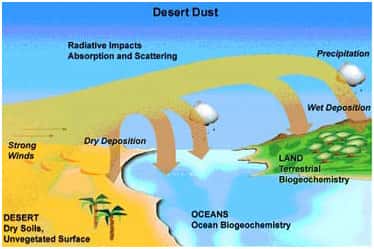 Le sable du désert est un puissant aérosol. Transporté par des vents forts (strong winds sur la carte), les particules peuvent se répandre sur les surfaces continentales ou dans les océans. Dans l'atmosphère, elles auront un effet radiatif (radiative impacts), pouvant contribuer autant au refroidissement qu'au réchauffement de l'atmosphère. Les aérosols peuvent perturber les cycles biogéochimiques terrestres et océaniques. © NCAR
