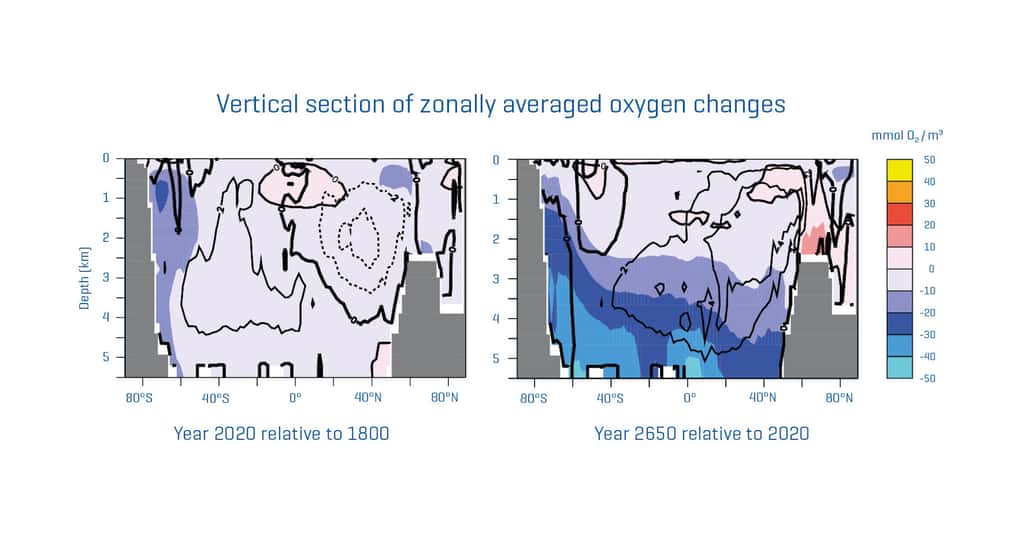 Après avoir touché les couches superficielles de l’océan, la désoxygénation en cours du fait de nos émissions de CO<sub>2</sub> devrait se poursuivre pendant des siècles dans les profondeurs. © C. Kersten, A. Oschlies, <em>Helmholtz Centre for Ocean Research Kiel</em>